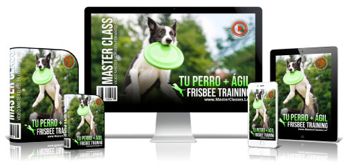 Tu perro más ágil con Fresbee