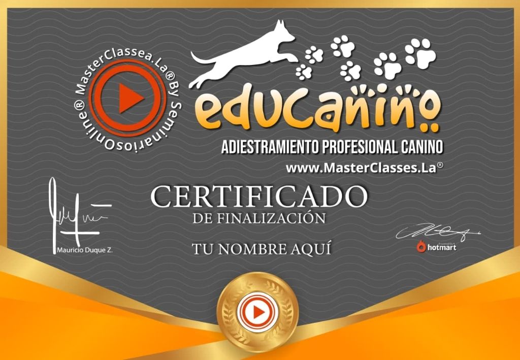 Certificado Educanico Educatac Certificado Educanico