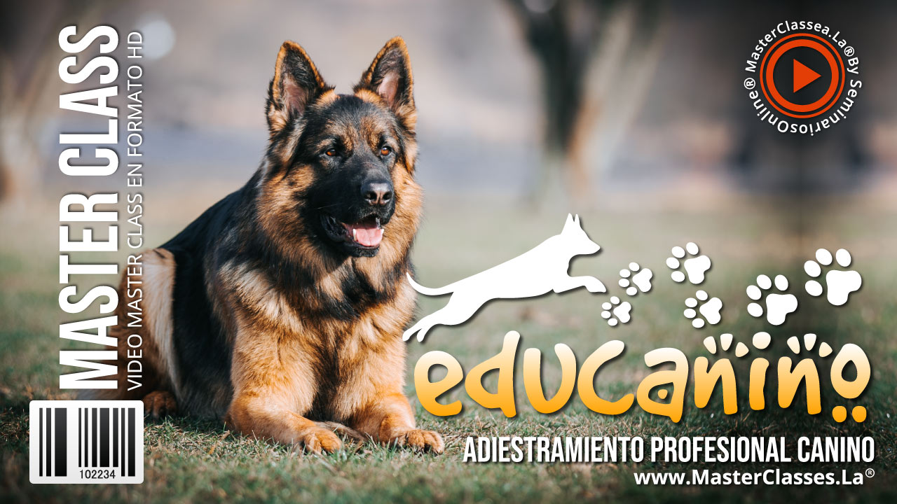 Educanico Adistramiento Profesional Educatac Educanico Adistramiento Profesional